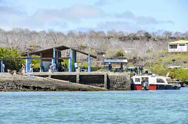95 - Ecuador - islas Galapagos - isla Santa Cruz - embarcadero